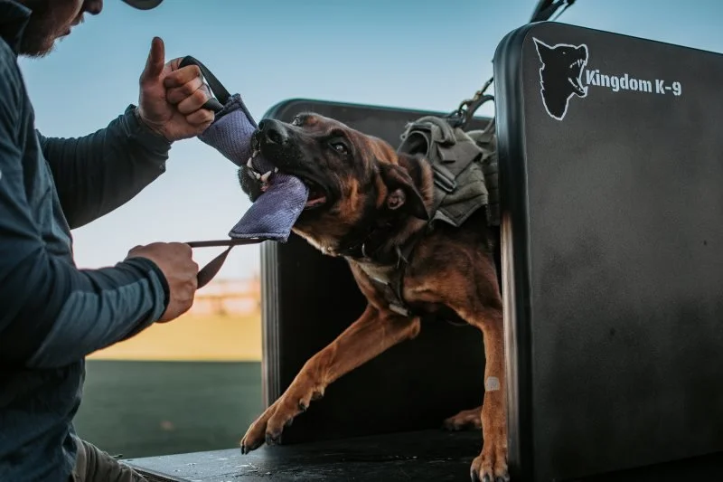 K-9 Training Image